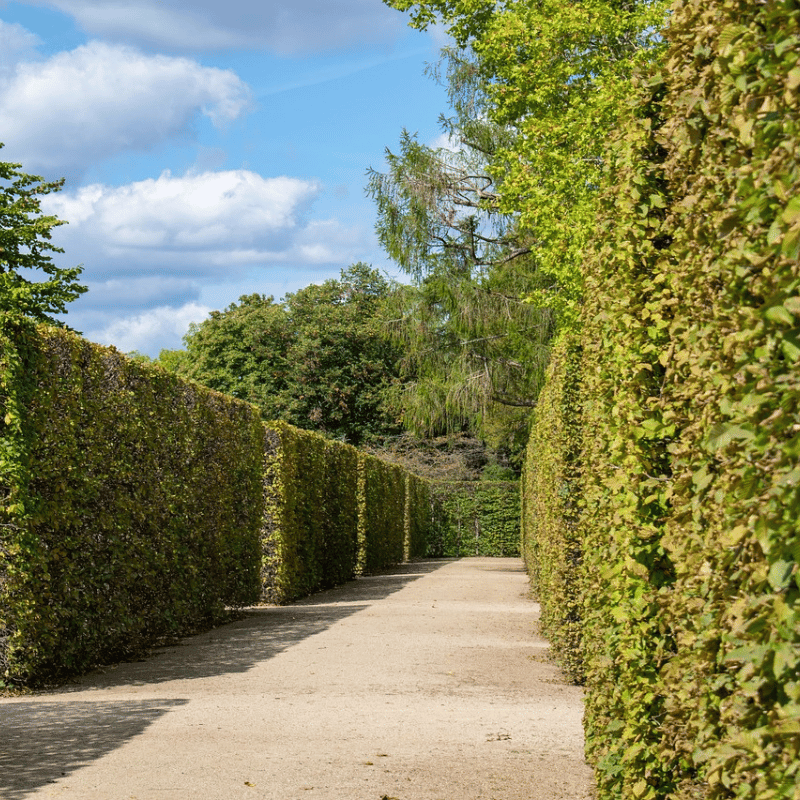 Grünanlagenpflege_Göksel Gebäudereinigung Bodenreinigung Obersulm